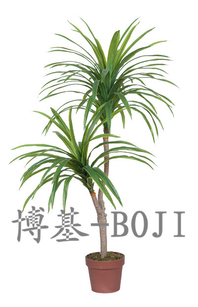 Click to enlarge